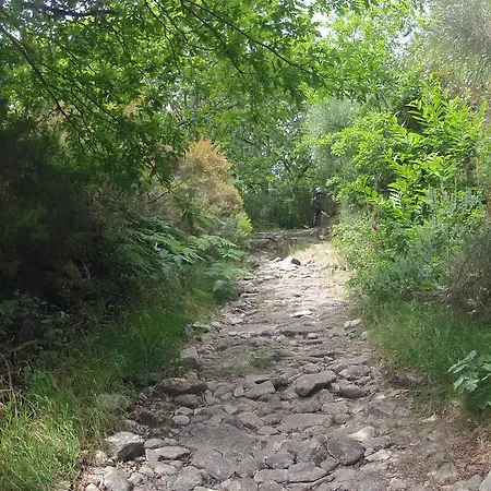 Nibho Lägenhet Esposende