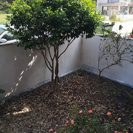 Nibho * Esposende