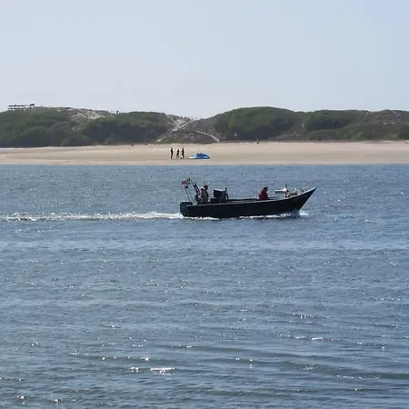 Nibho