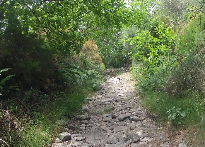 Nibho Διαμέρισμα Εσποσέντε